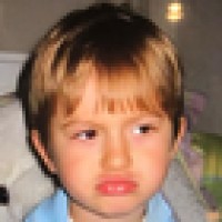 voxfans Avatar